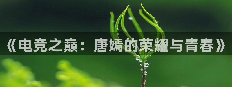 leyu电竞电竞平台官网入口：《电竞之巅