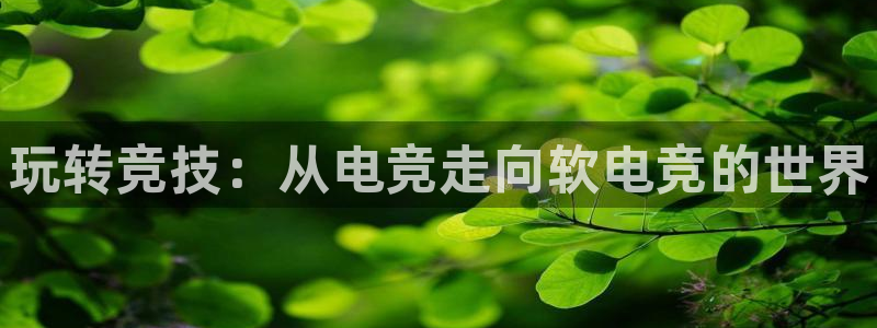 leyu电竞电竞直营.最新的平台网.cc