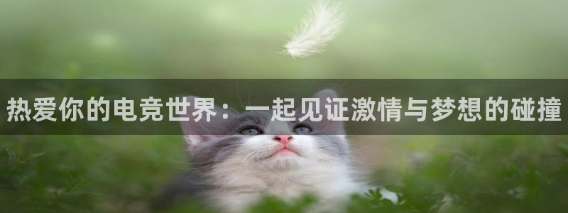 leyu电竞电竞玩家：热爱你的电竞世界：