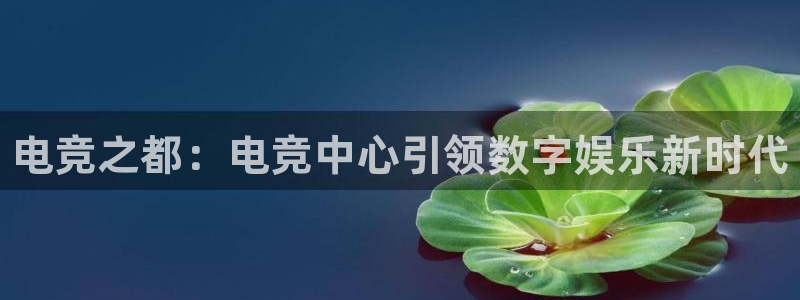 leyu电竞电竞官网官方网站：电竞之都：