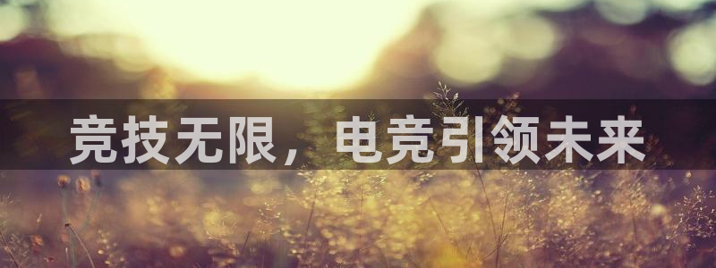 leyu电竞电竞联系方式：竞技无限，电竞