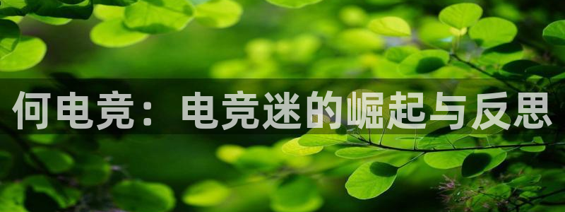 leyu电竞电竞超玩家包宿多少钱：何电竞