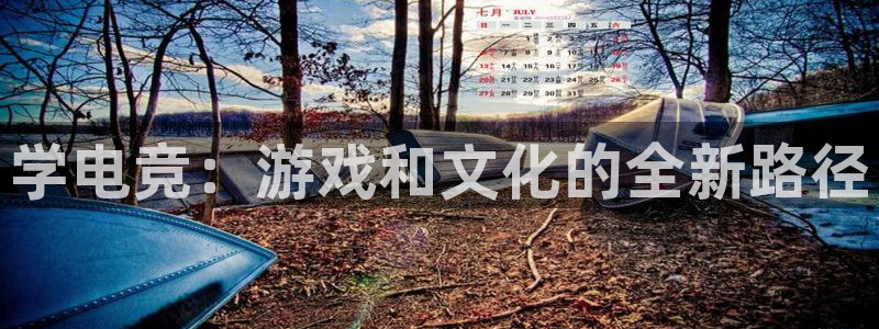 leyu电竞电竞app官网：学电竞：游戏