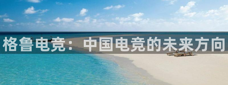 leyu电竞电竞注册：格鲁电竞：中国电竞的未来方向