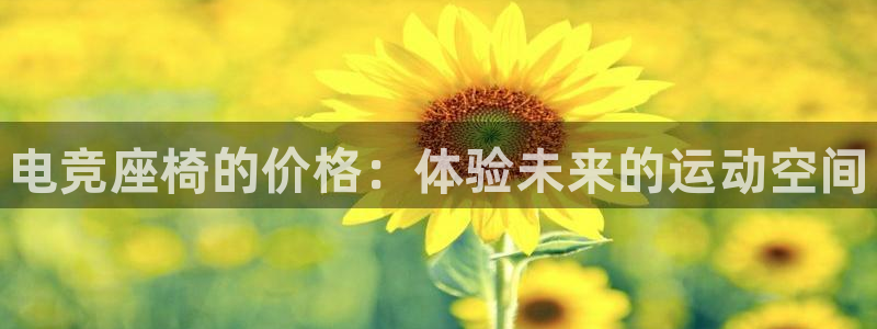 leyu电竞电竞官网直播入口：电竞座椅的价格：体验未来的运动空间