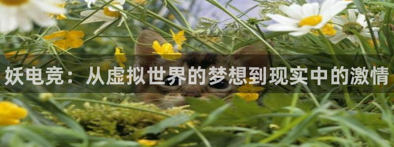 leyu电竞电竞平台手机：妖电竞：从虚拟世界的梦想到现实中的激情