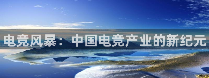 leyu电竞电竞app最新版：电竞风暴：中国电竞产业的新纪元