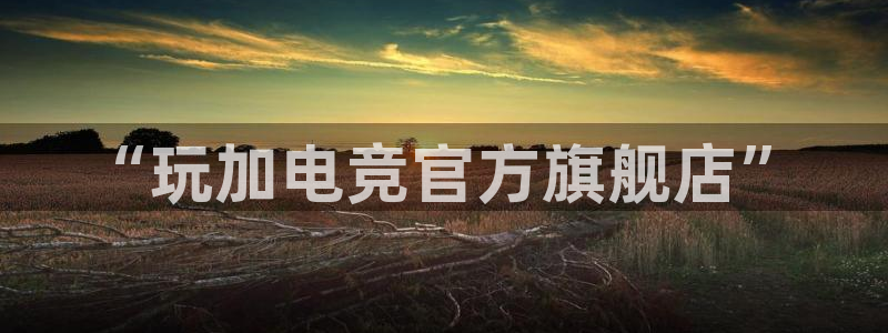 leyu电竞电竞网页版：“玩加电竞官方旗舰店”
